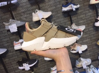 Prophere