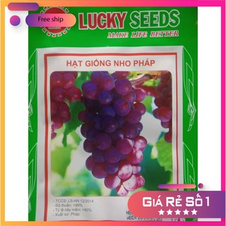 HẠT GIỐNG NHO PHÁP (10 HẠT ) LUCKY.VN