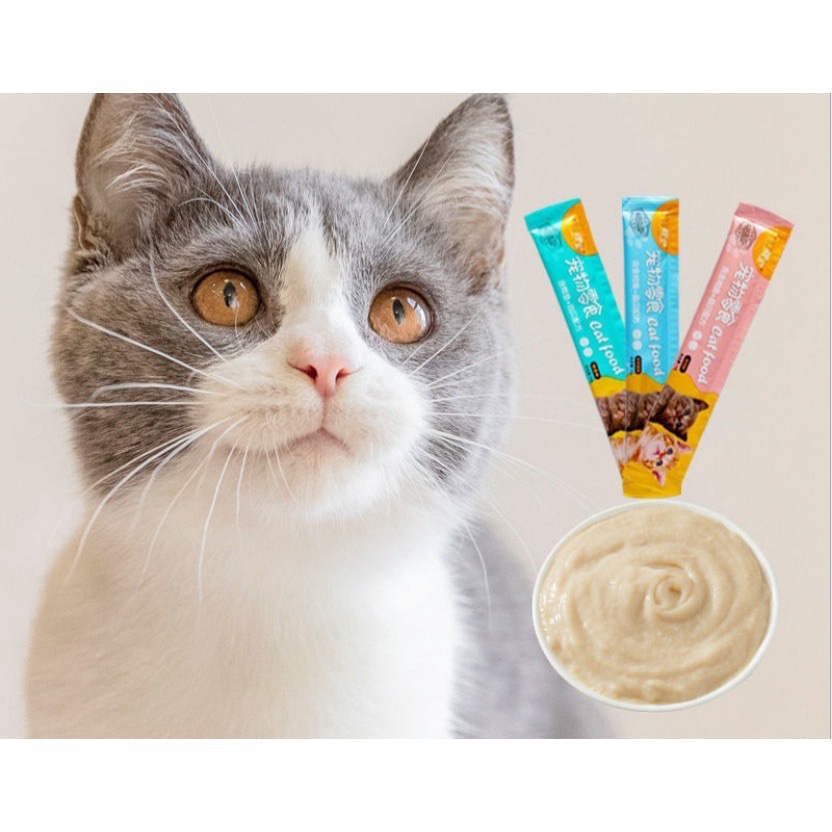 (BÁN LỖ LẤY TƯƠNG TÁC) Súp thưởng dinh dưỡng cho mèo Shizuka và Catfood thanh 15gr