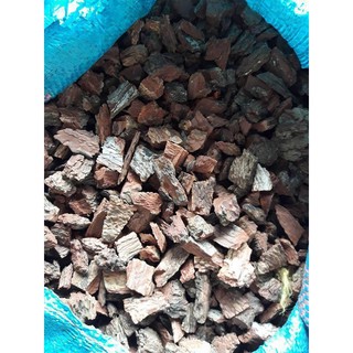 Vỏ gỗ thông ( vỏ thông ) trồng phong lan (1kg) - HẠNH PHÚC GARDEN