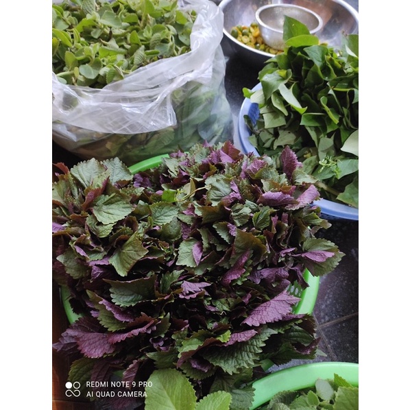 Siro quất húng chanh đường phèn 500ml