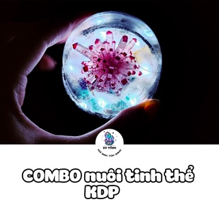 COMBO nuôi tinh thể KDP