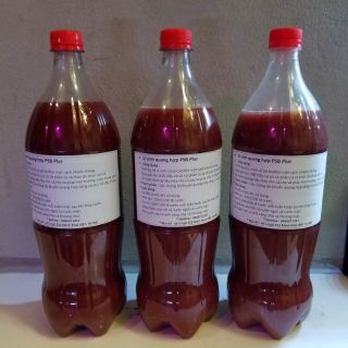 Vi khuẩn quang hợp psb plus
