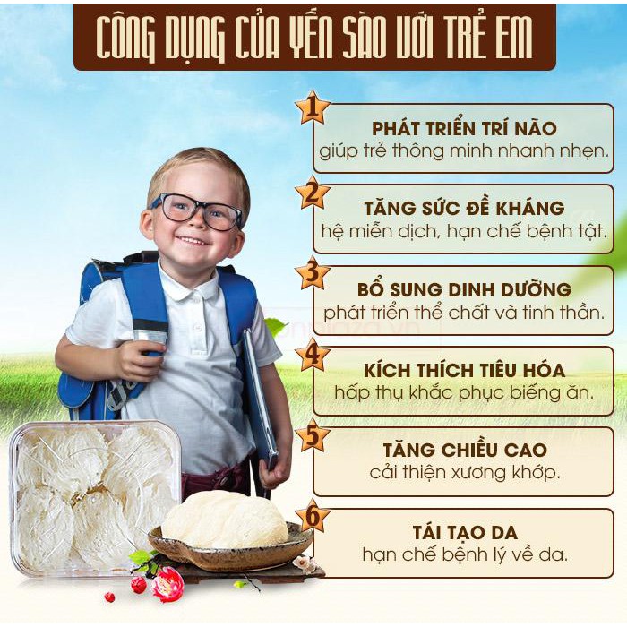 Tặng Táo đỏ, Chia, Đường phèn | Tổ Yến Rút Lông Hoàng Việt