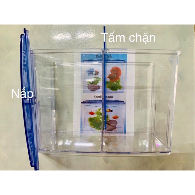 HỒ NUÔI CÁ BETTA 2 NGĂN BẰNG NHỰA