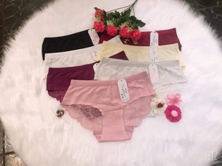 Bán sỉ quần chip cotton pha ren 1483