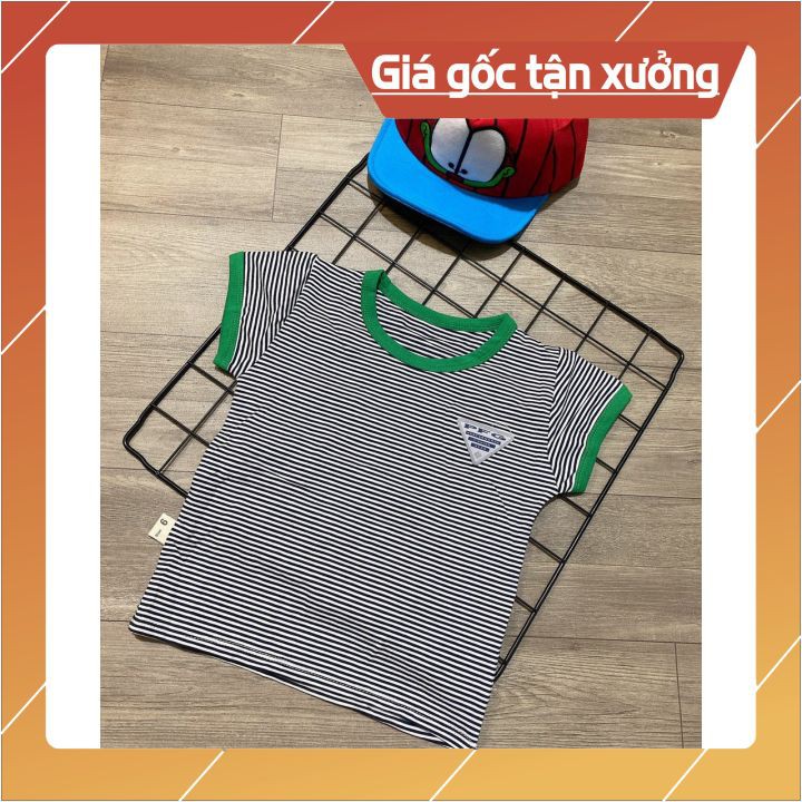 Áo phông cotton cho bé chất thấm hút mồ hôi thoáng mát mềm mịn cho bé trai 7kg-15kg