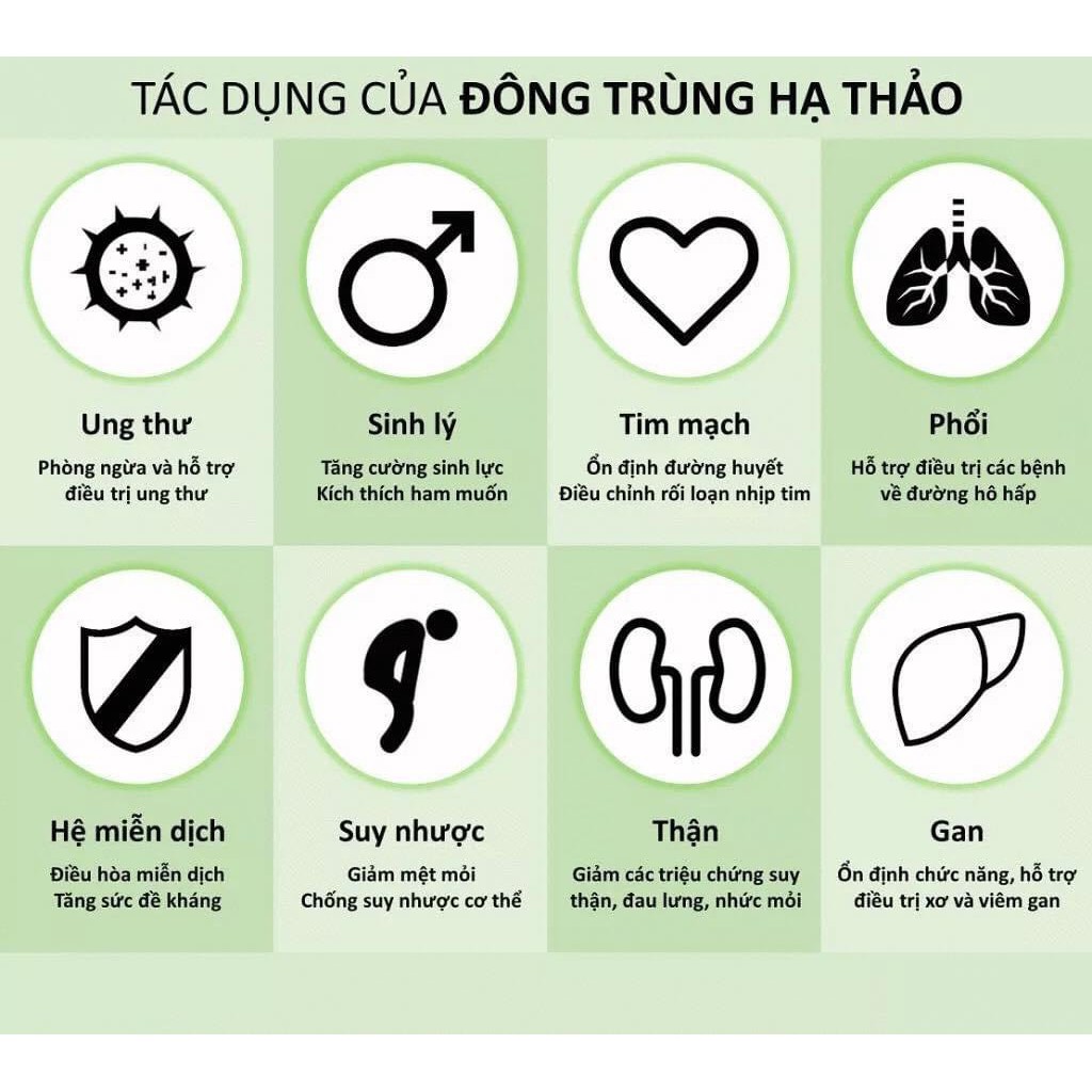 ĐÔNG TRÙNG HẠ THẢO MẮT ĐỎ THIÊN NHIÊN NÚI TUYẾT BHUTAN - 5GRAM SIZE GẪY