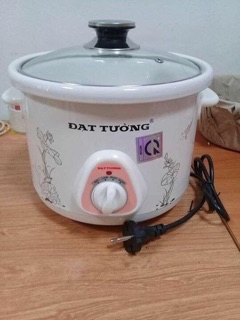 Nồi nấu cháo chậm Đạt Tường