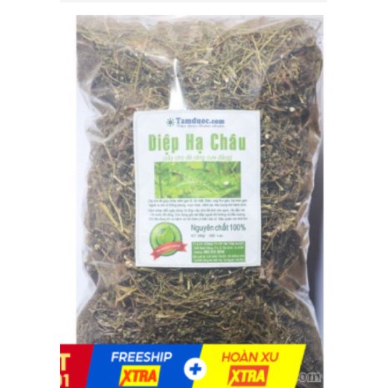 Diệp hạ châu cây chó đẻ khô thơm ngon 1kg hàng loại một
