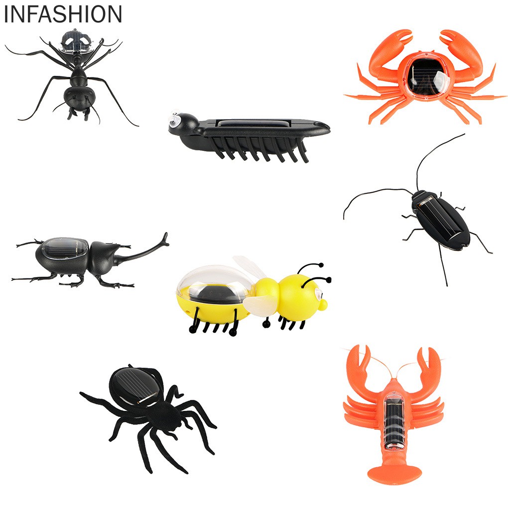 Con Gián Đồ Chơi Sử Dụng Năng Lượng Mặt Trời Cho Bé