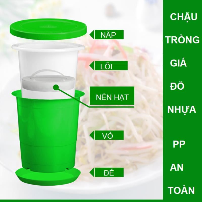 Chậu trồng giá đỗ KOI-15, Khay trồng rau mầm, Máy trồng đậu hà lan đá Maifan