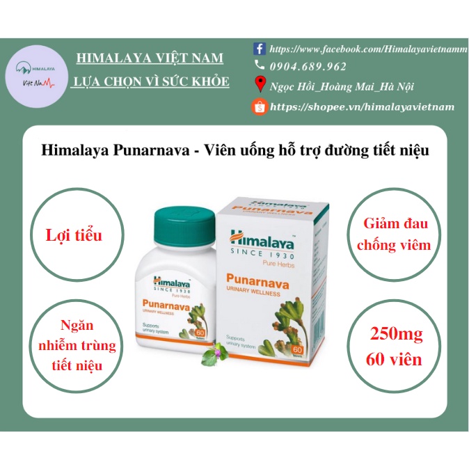 Viên uống hỗ trợ đường tiết niệu - Himalaya punarnava