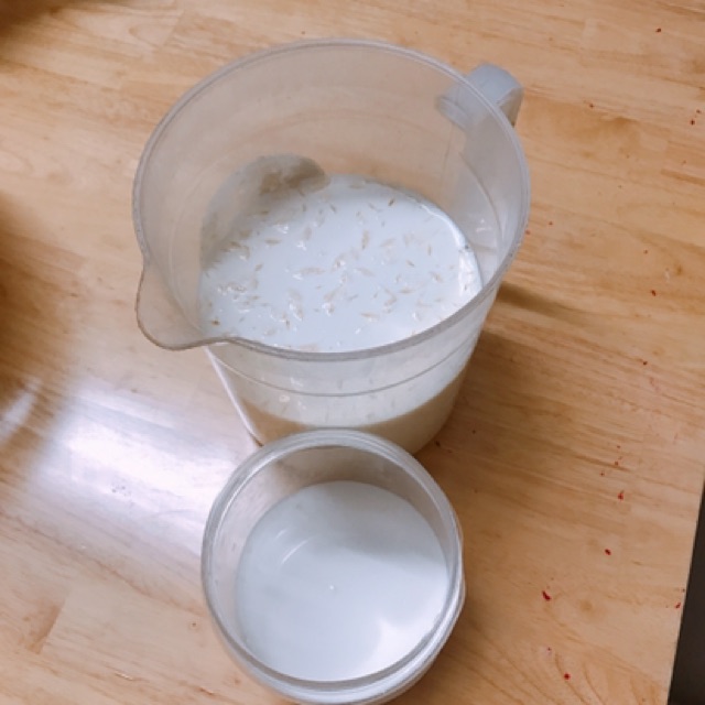 Nấm Sữa Tây Tạng - Nấm Sữa Kefir - Rây Nhựa Rosabeli