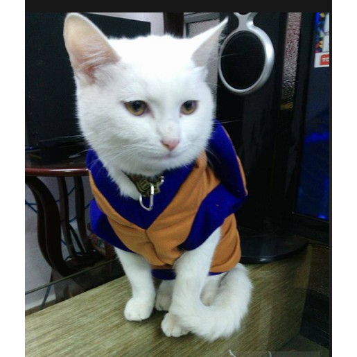 Quần áo cho chó mèo