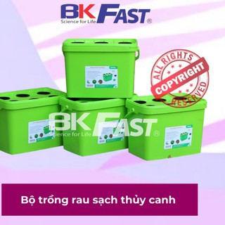 CHẬU TRỒNG RAU THỦY CANH BKFAST (4 Thùng) - ĐH Bách Khoa Hà Nội (GỐC NHÀ SẢN XUẤT)