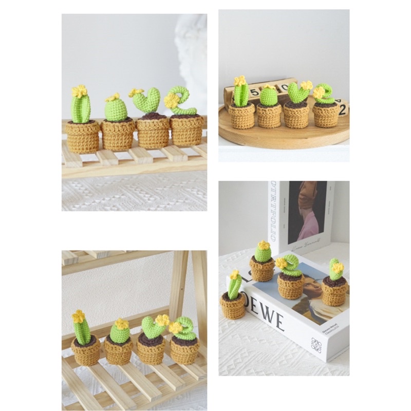 DIY Gói Nguyên Liệu - Combo 4 Chậu Xương Rồng    - Quà Tặng Handmade Tự Làm Decor [Có hướng dẫn]