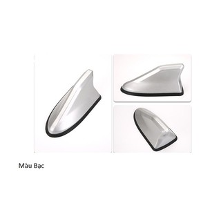 Anten vây cá cao cấp có đế cao su