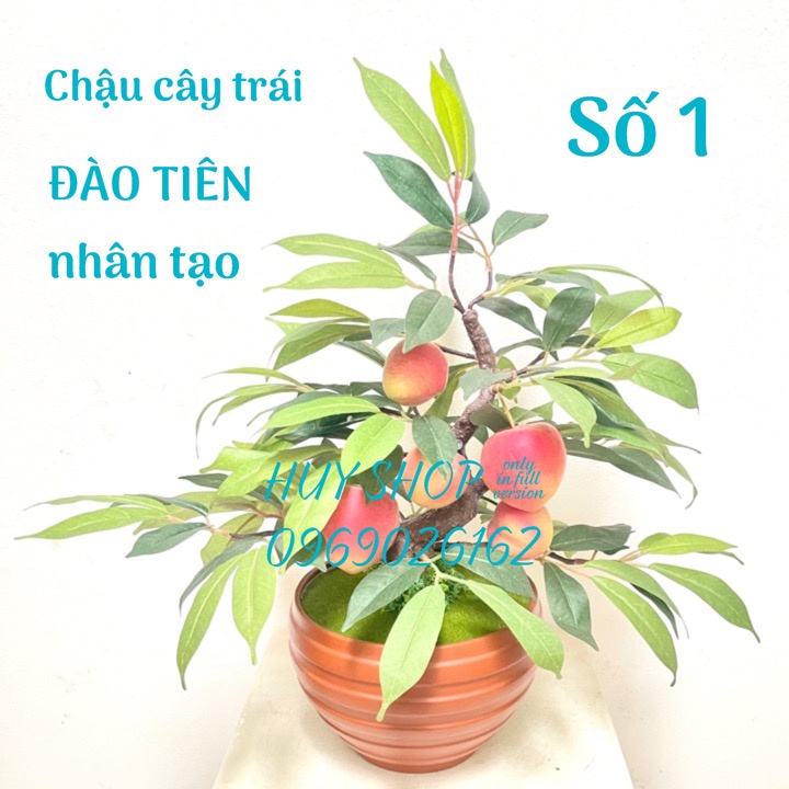 Hoa trái giả - Chậu cây trái ĐÀO TIÊN nhân tạo trang trí nhà (cao 38cm)