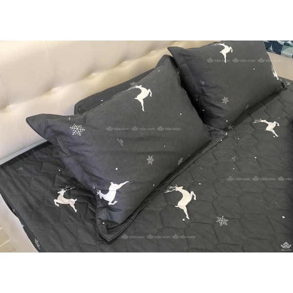 Bộ ga gối Sông Hồng Basic cotton BC22067