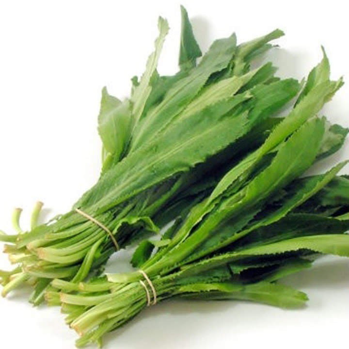 Gói 500gr Hạt giống rau Mùi tàu răng cưa cao sản(Ngò gai)