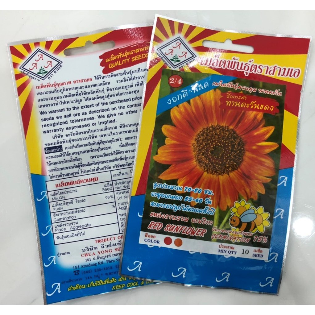 Hạt giống hoa Hướng dương đỏ thái lan nhập nguyên gói