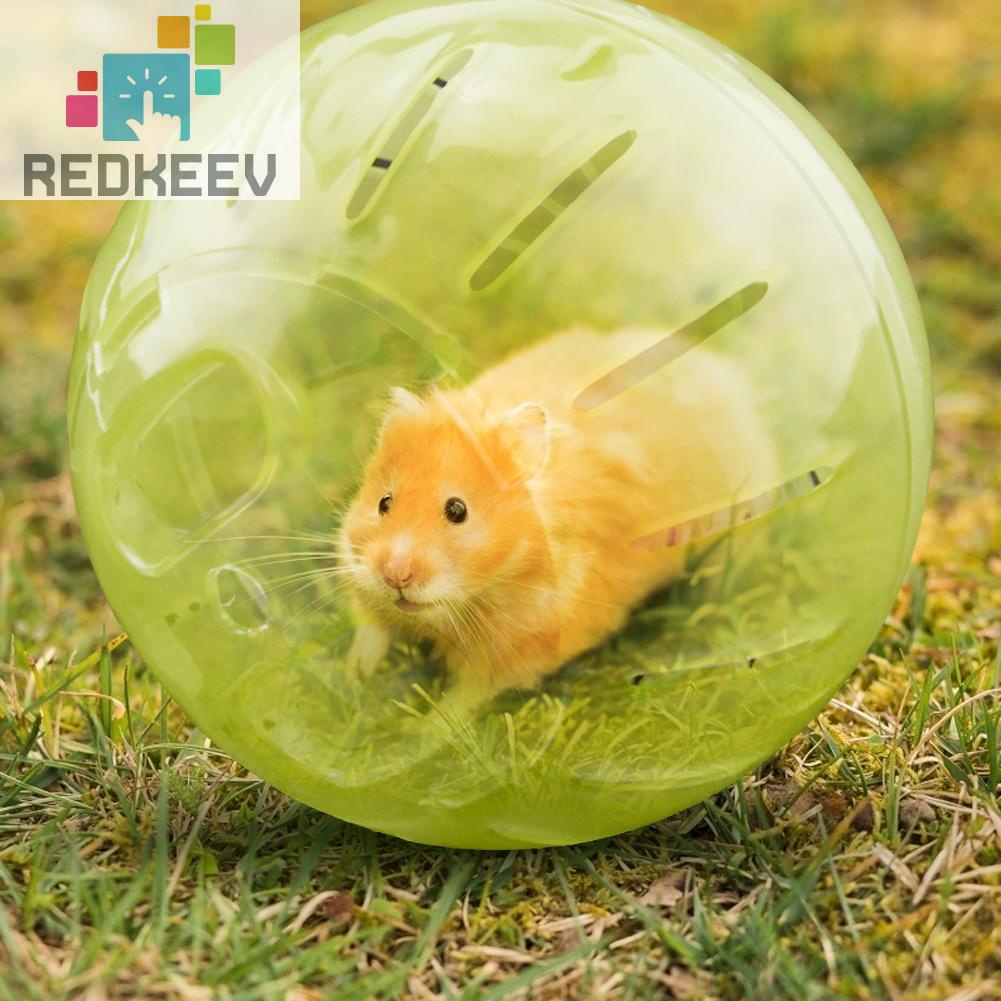 Bóng lăn nhựa 12cm dùng chạy vận động dành cho chuột hamster