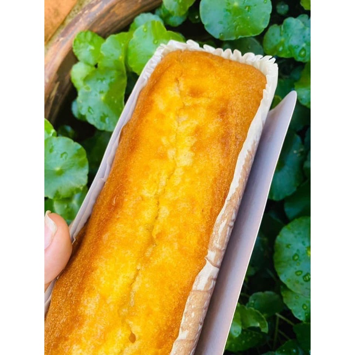 Bánh bông lan bơ Gateau Pháp 500g