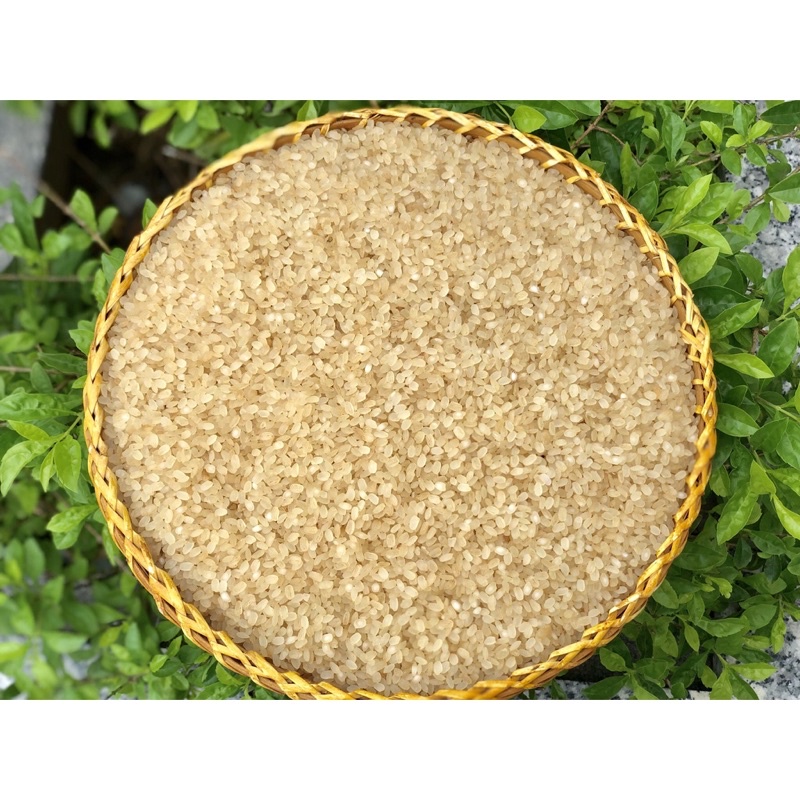 COMBO 3KG GẠO NẾP NON Khẩu Hang ( Đặc Sản Tây Bắc )