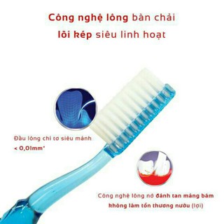 Bàn chải đánh răng Lipzo