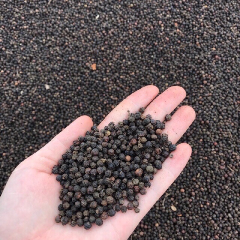 500g Tiêu đen Đak Lak loại ngon siêu cay không pha