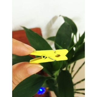 Set 10 kẹp gỗ màu treo ảnh