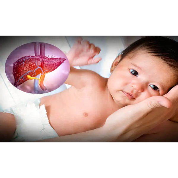 Thạch Mát gan Liver David Happy Mát gan Giải độc gan Thanh nhiệt giải độc Tăng cường sức khỏe Giảm Vàng da Mề đay