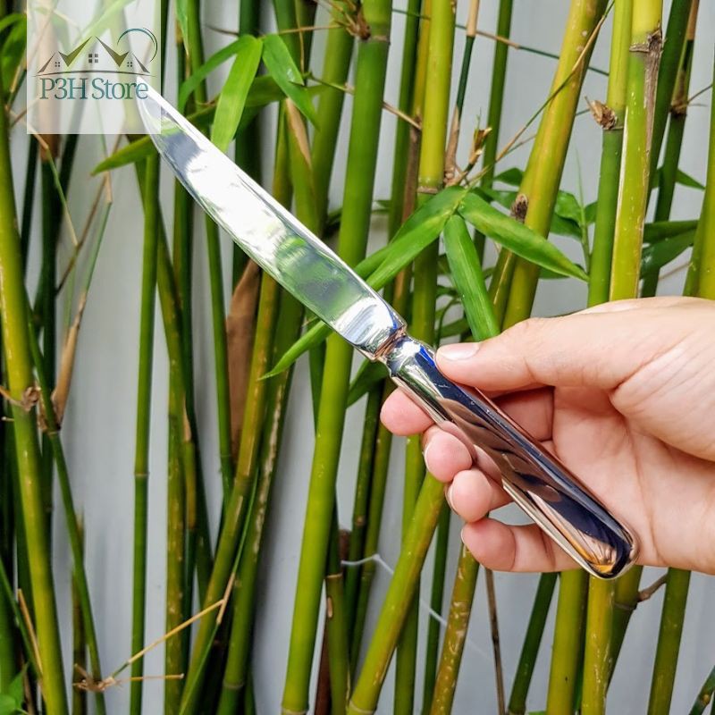 Dao inox ăn bò beefsteak cho bàn ăn gia đình, nhà hàng, khách sạn
