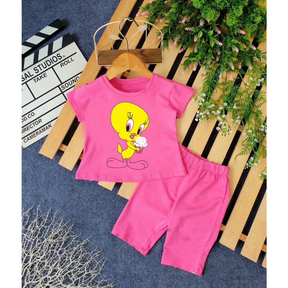 ( Khuyến mãi ) Bộ bé gái hình con vịt màu vàng ôm chậu hoa cho bé từ 6-28kg .BDBG53. .