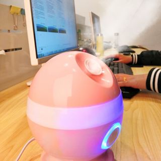 Máy Xông Mặt Hoa Quả Thảo Dược