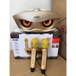 Loa Bluetooth karaoke kèm 2 míc SDRD-306