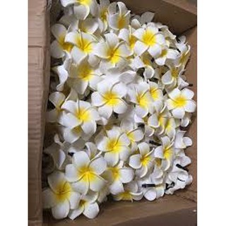 Hoa đại cài tóc siêu xinh