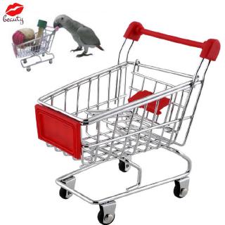 Đồ chơi treo cho chim / vẹt