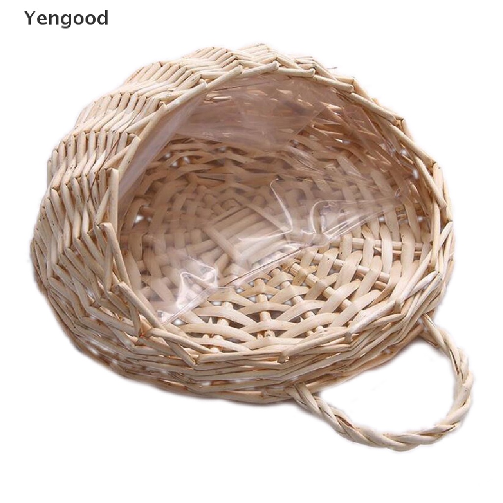 Hoa Trang Trí Nhà Đáng Yêu