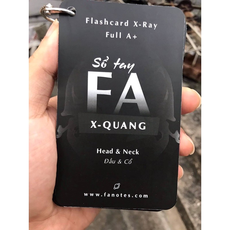 FA Xquang Head and Neck