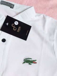 Áo polo thêu cá sấu ( hình thật)