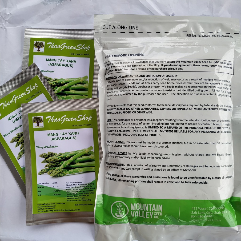 50 HẠT GIỐNG MĂNG TÂY XANH MERY WASHINGTON