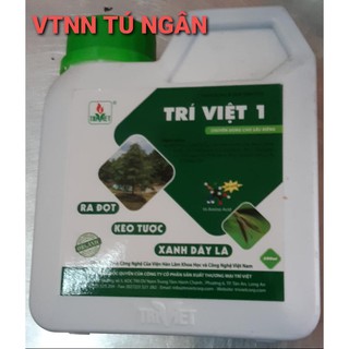 PHÂN BÓN LÁ CAO CẤP CHO SẦU RIÊNG – TRÍ VIỆT 1
