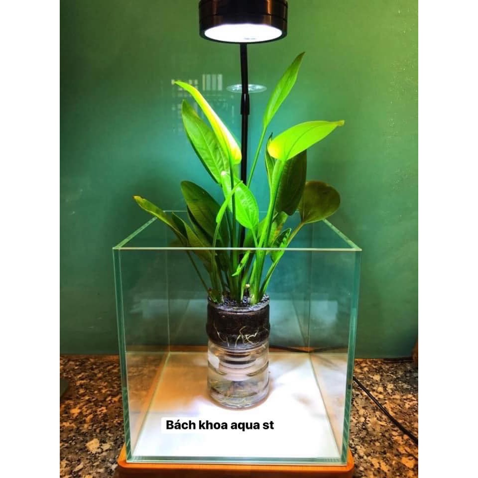 Set kệ đèn 10W đủ size cho bể cá cảnh