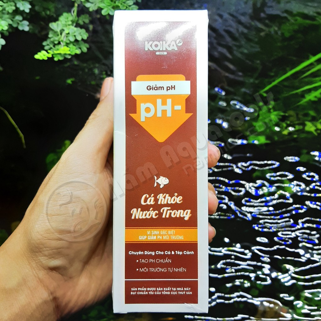 KOIKA pH- | Men Vi sinh đặc biệt giúp giảm pH tự nhiên và ổn định cho bể cá cảnh thuỷ sinh