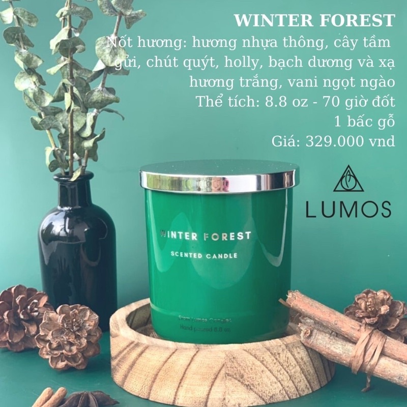 Lumos WINTER FOREST nến thơm tinh dầu hương rừng thông, bạch dương và xạ trắng, 8.8oz có túi giấy và hộp quà tặng