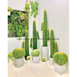 Cây xương rồng giả trang trí 140cm hằng decor