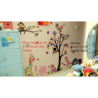 Decal dán tường và thanhlieu