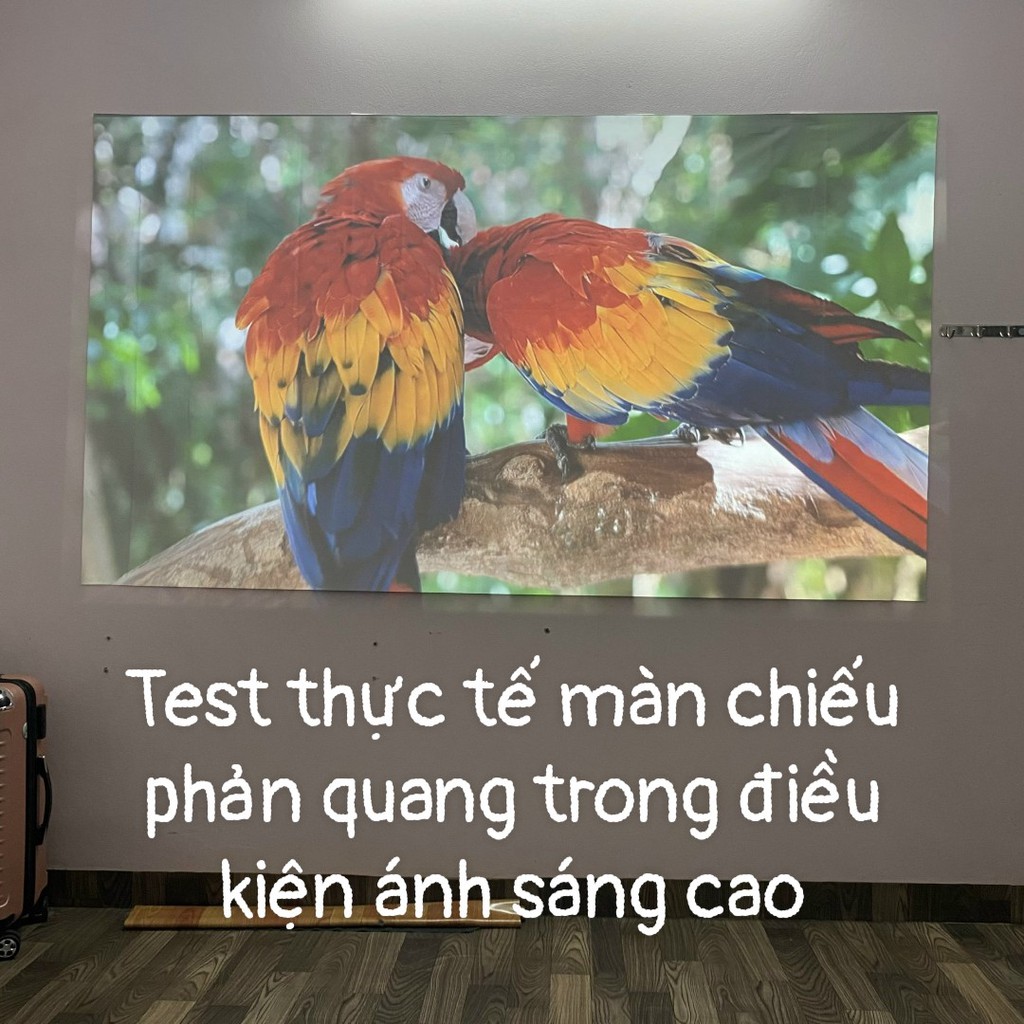 Màn chiếu phản quang dán tường 60-120ich - Tương phản cao - Dùng chiếu ngoài trời